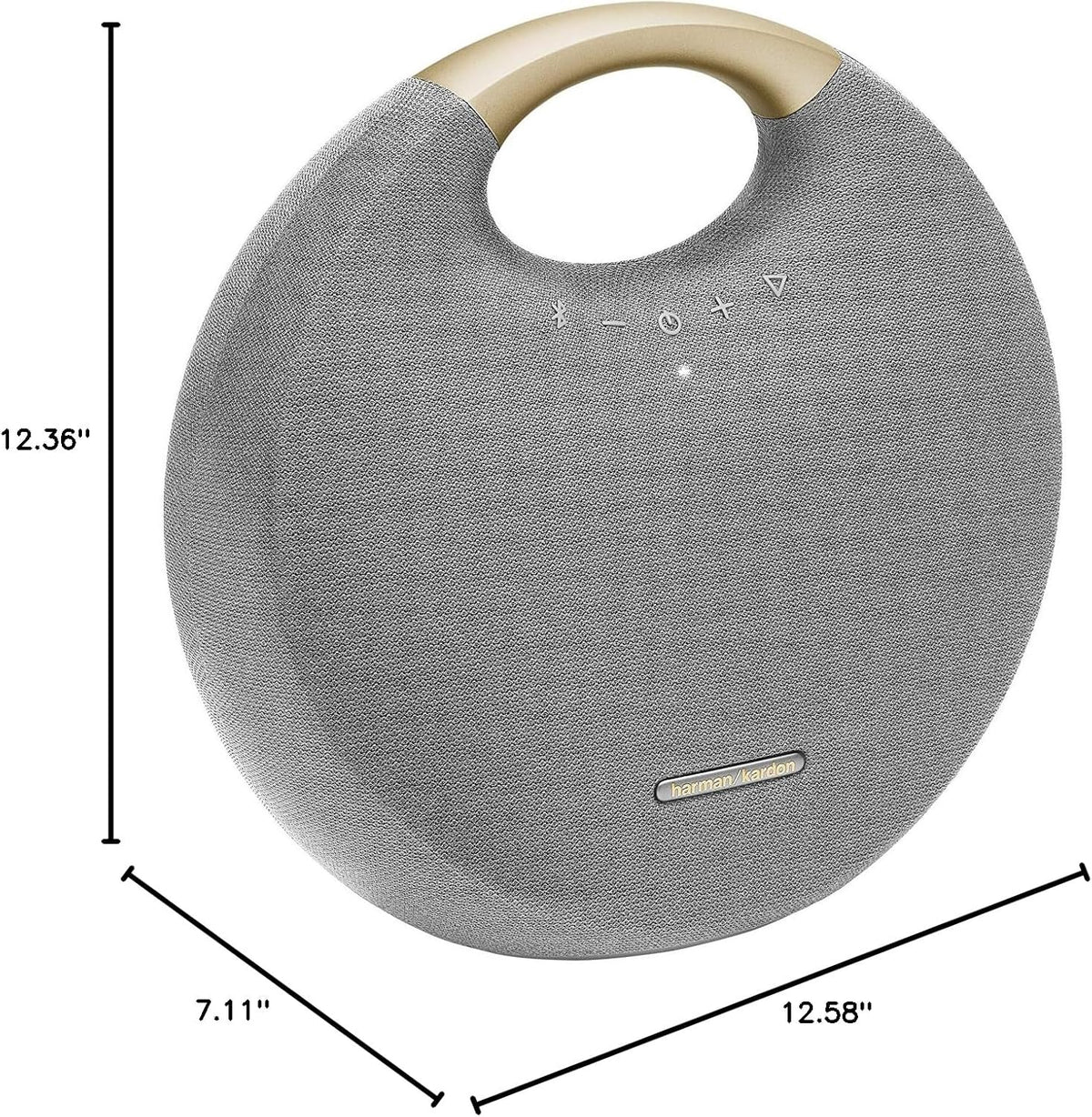 Gray Bluetooth Speaker with Handle J638739