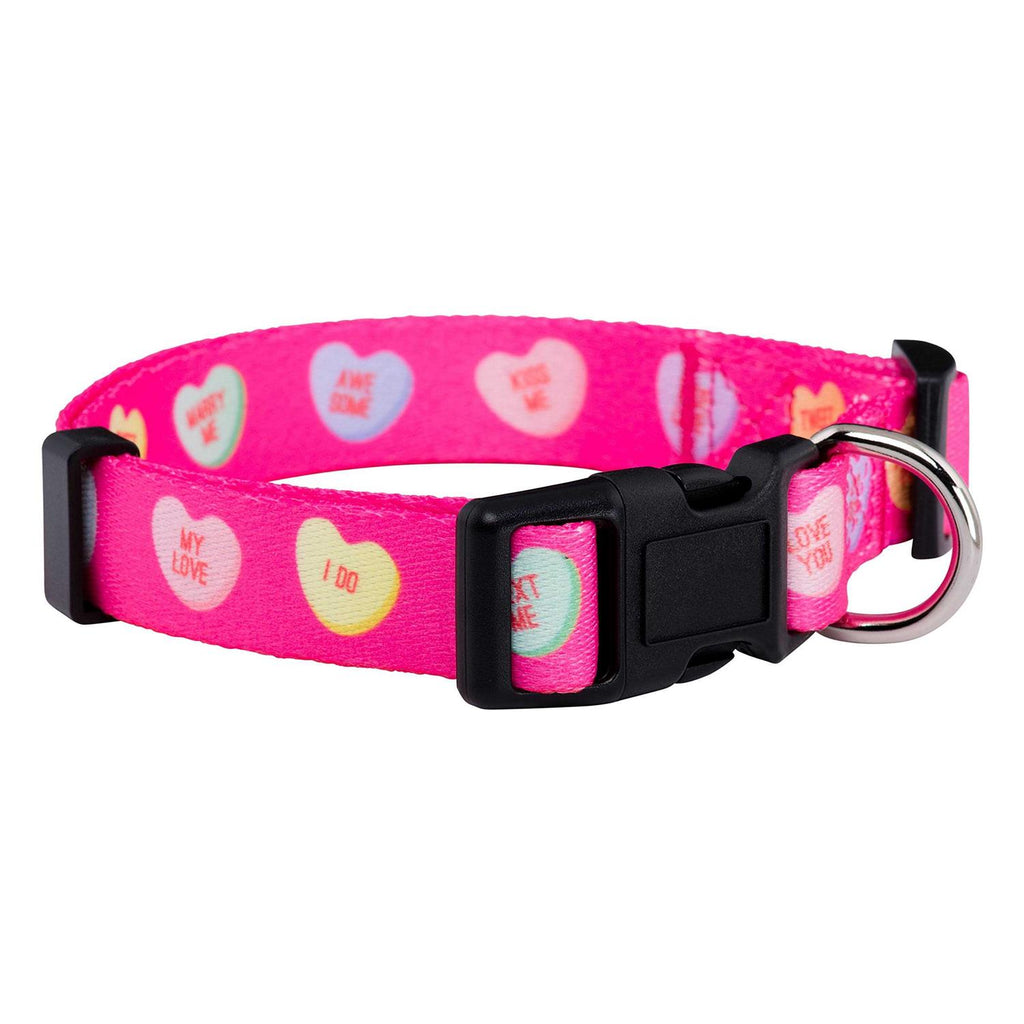 Valentines Day Heart Dog Collar X3649