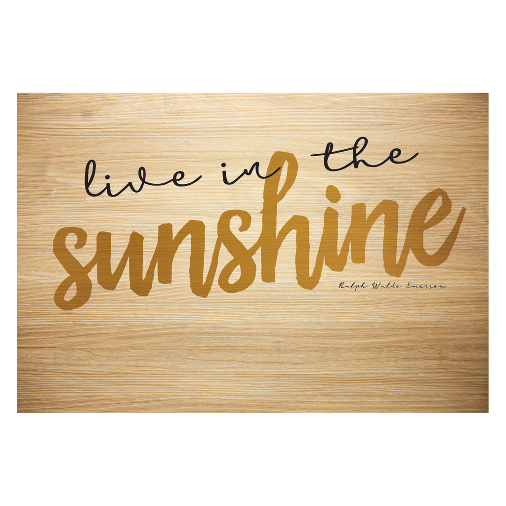 Light Brown Rectangular Non Slip Doormat I32462