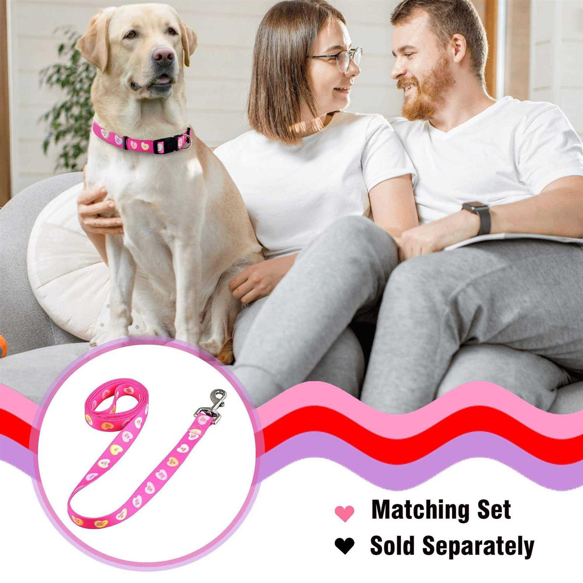 Valentines Day Heart Dog Collar X3649