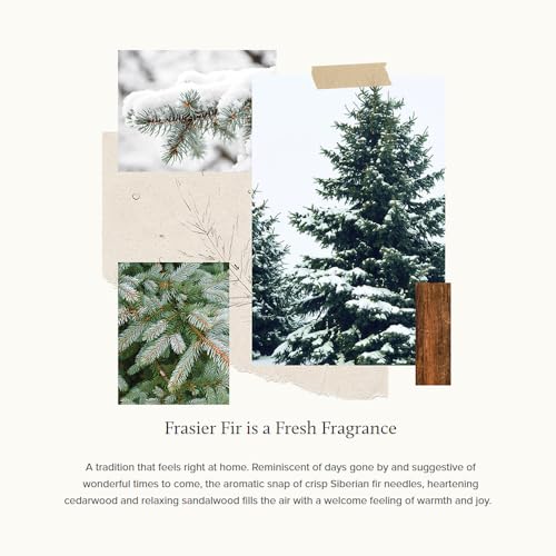 Frasier Fir Reed Diffuser Set Y116