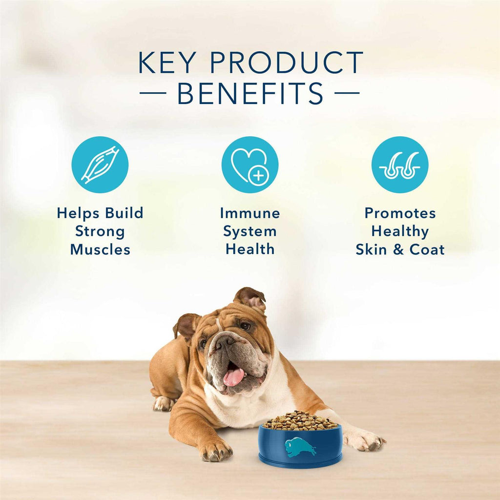 Salmon & Potato Dry Dog Food B105