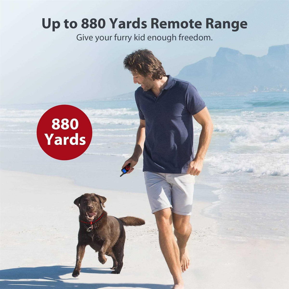 Remote Dog Training Shock Collar System B8773