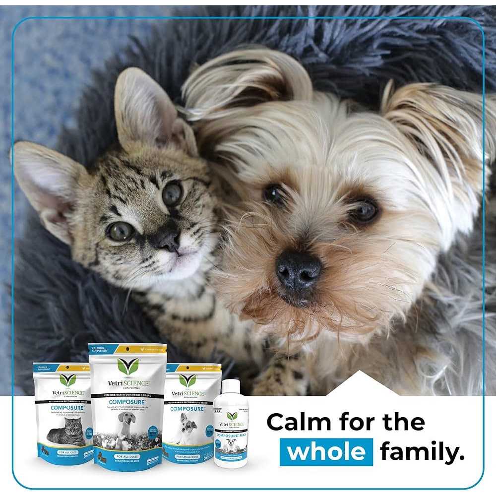 Cat Supplement O594888