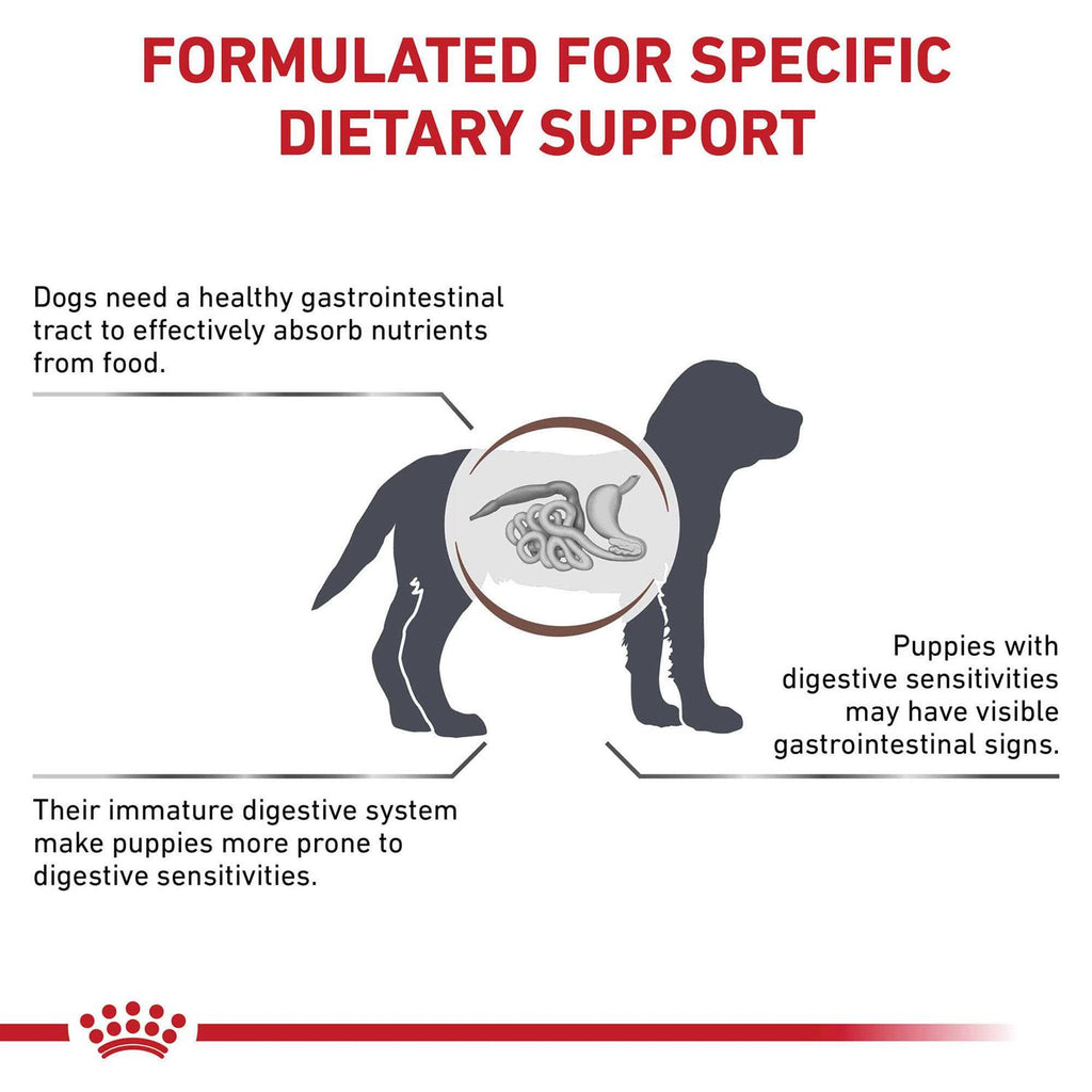 Veterinary Diet Gastrointestinal Puppy Dry Dog Food R277