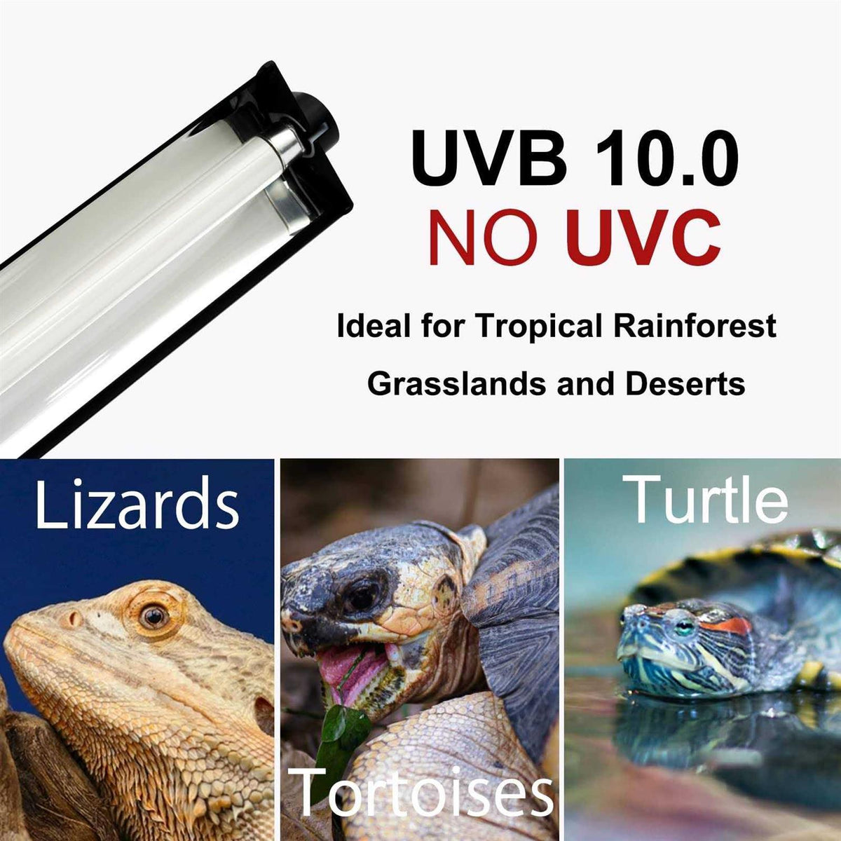 T5 HO UVB Lighting Combo Kit W5209