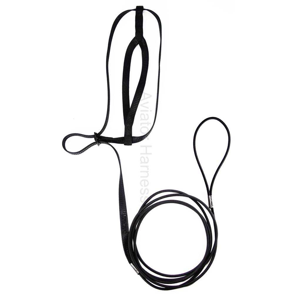 Bird Harness and Leash F15749