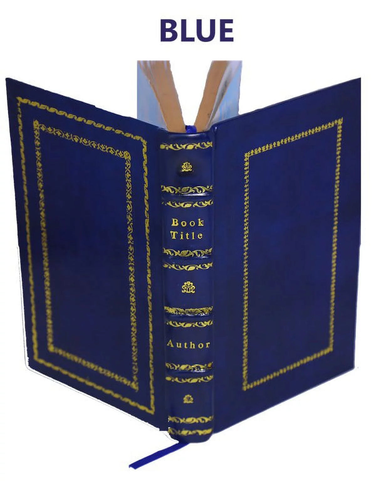 Genealogy of the Doty-Doten Family in America Volume 2 Leather Bound H7055