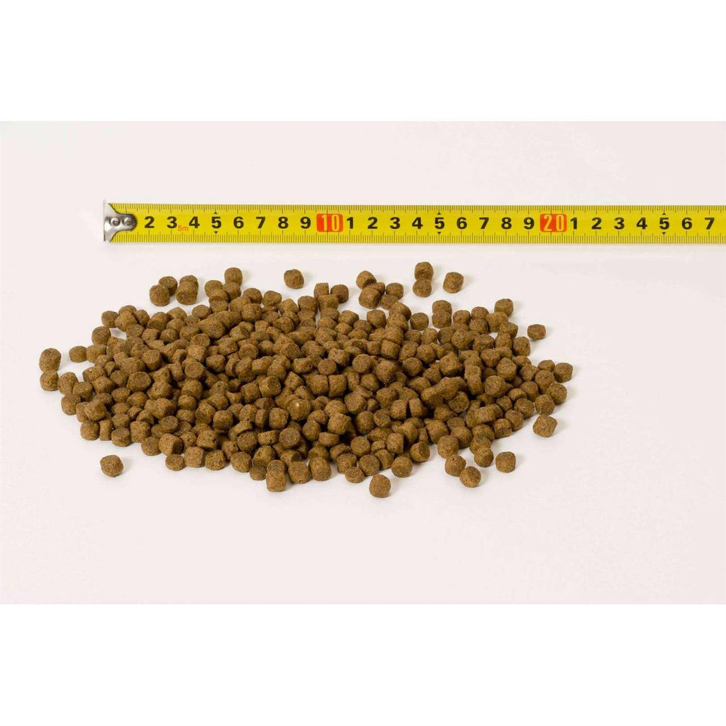 Dry Dog Food F303358