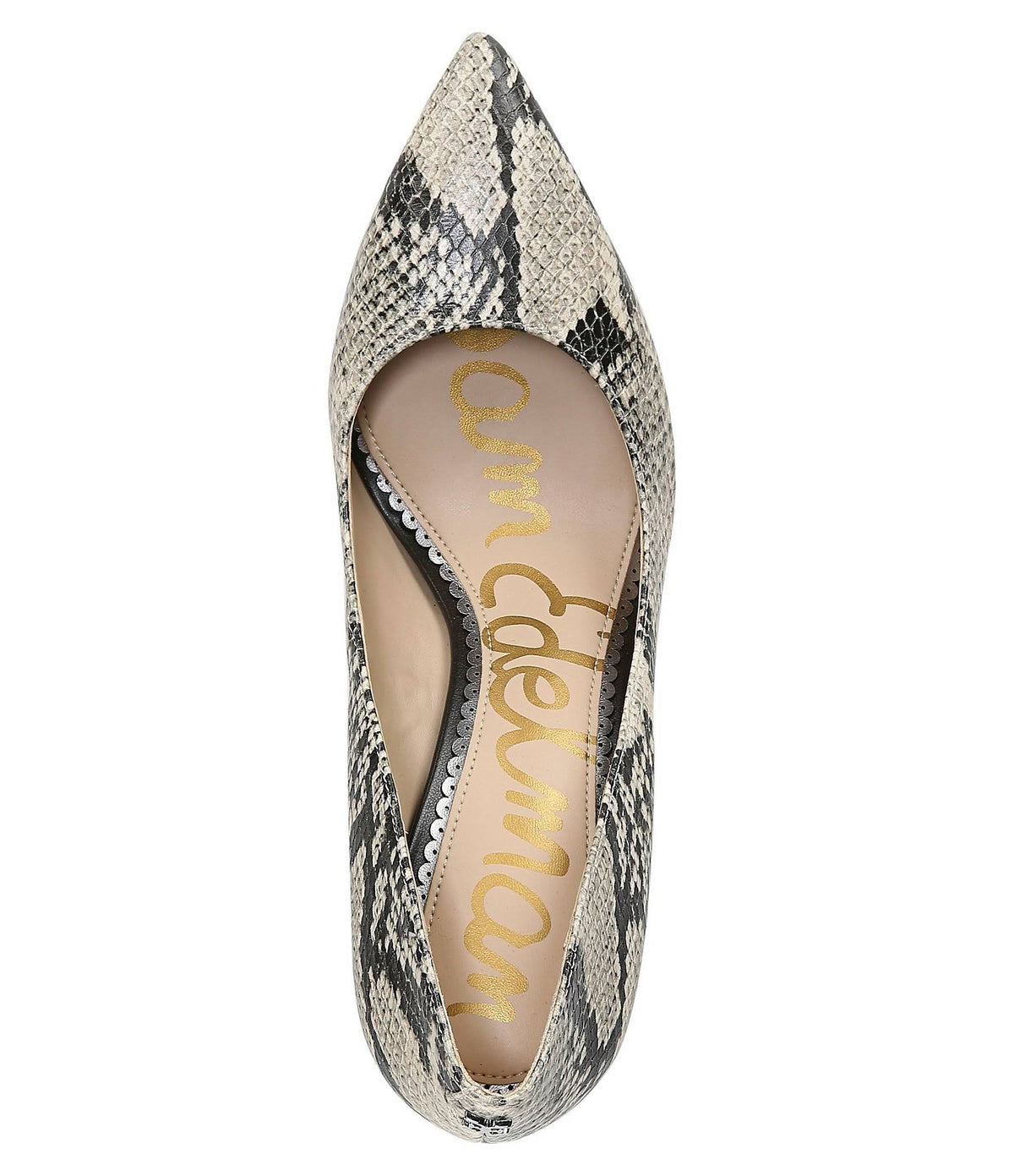 Beach Multi Snake Stiletto Pumps C97851
