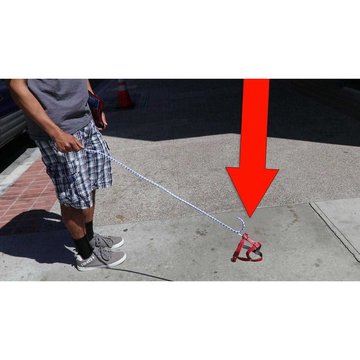 Invisible Dog Leash W680