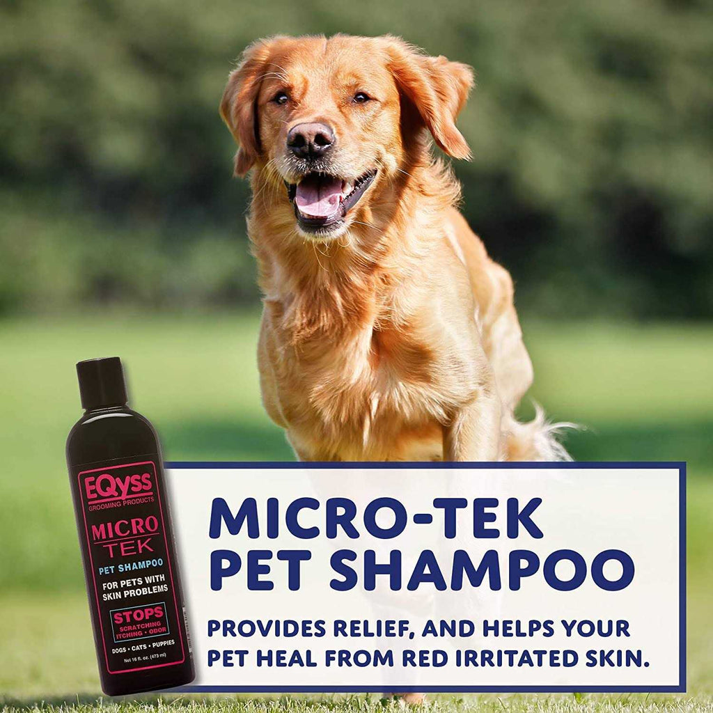 Pet Shampoo V55672