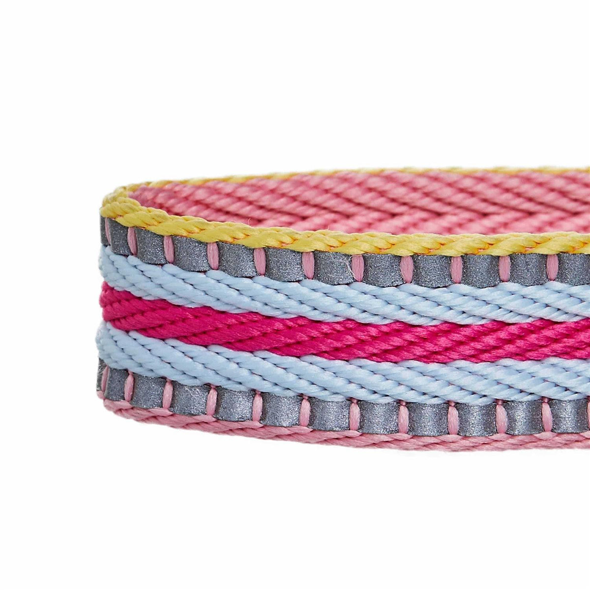 Reflective Dog Collar Q562904