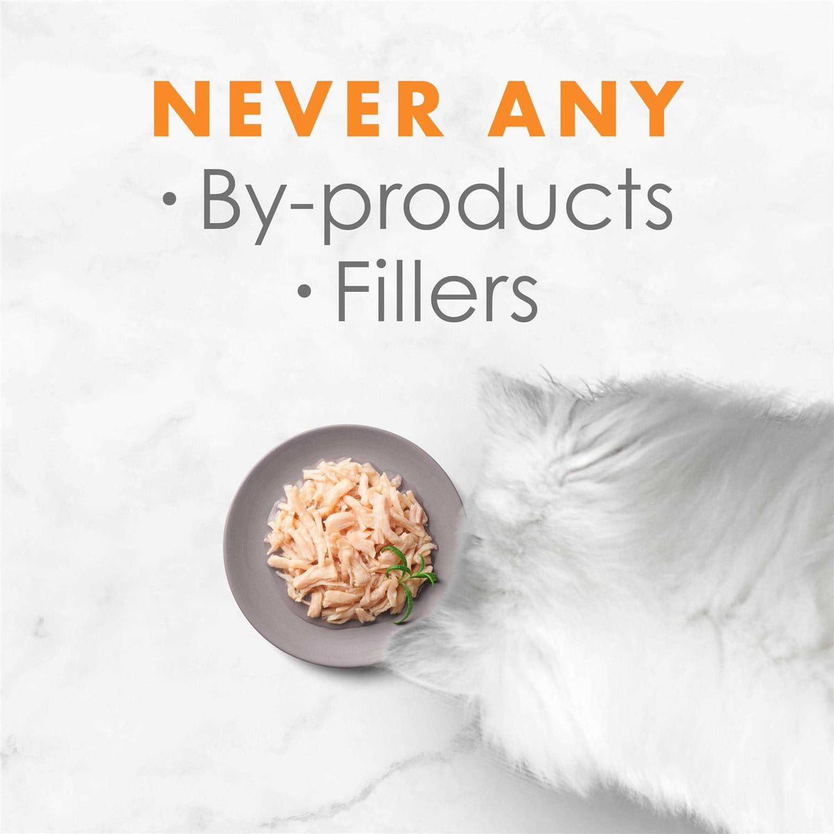 White Meat Chicken Broth Wet Cat Food N441267