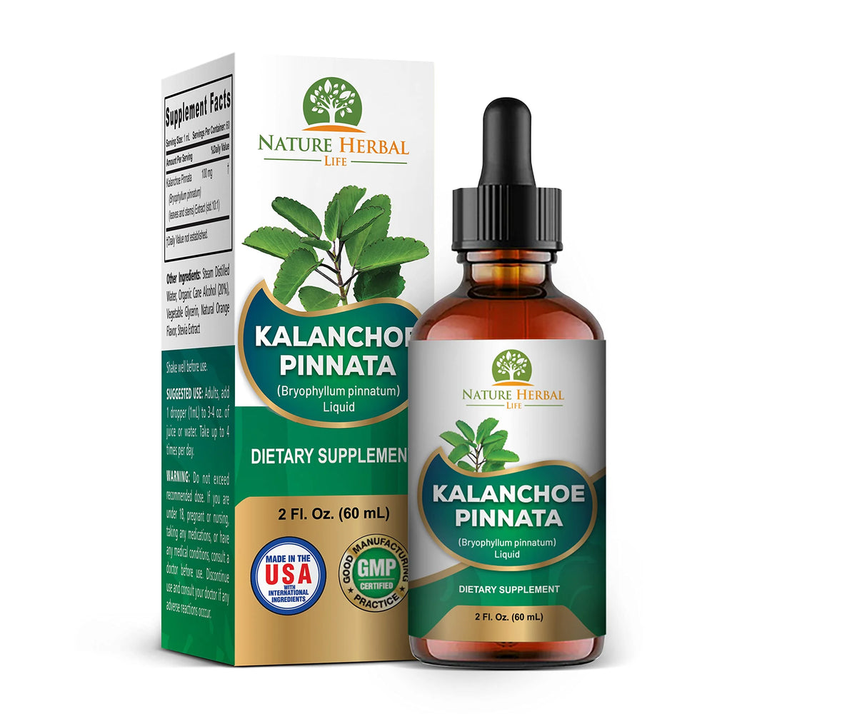 Kalanchoe Pinnata Dried Leaf and Stem Liquid Extract Herbal Supplement 2 oz X73229