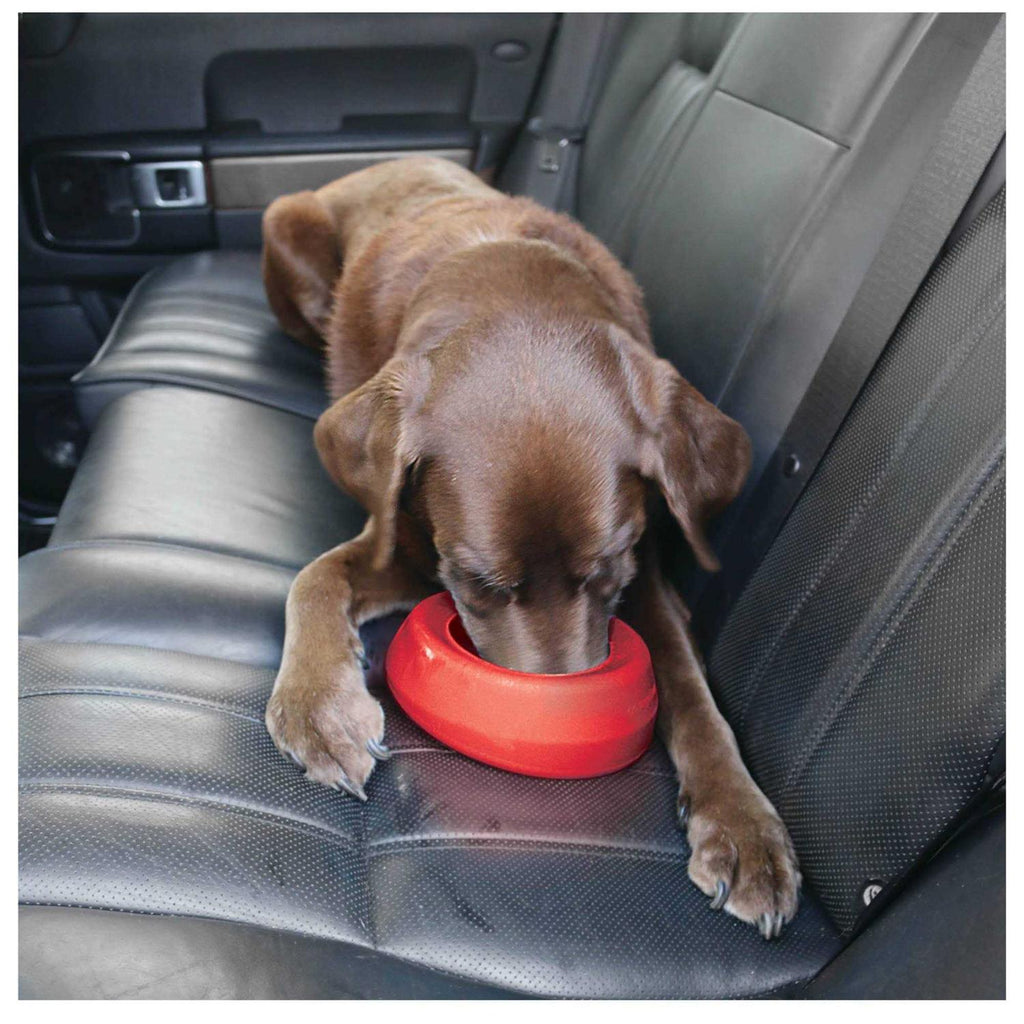 Water Bowl U22057