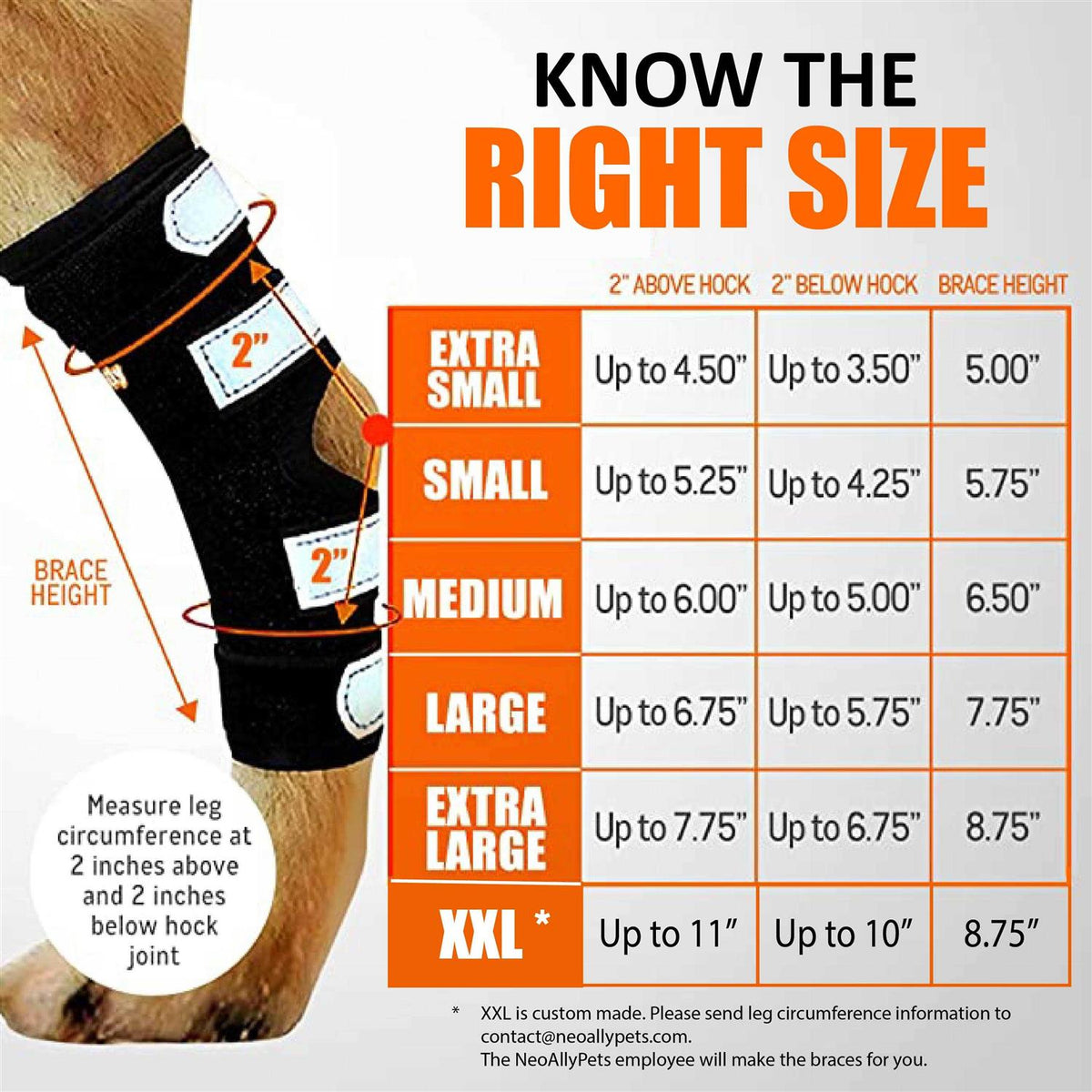 3-in-1 Long Rear Leg Support Dog Splint Braces Q798230