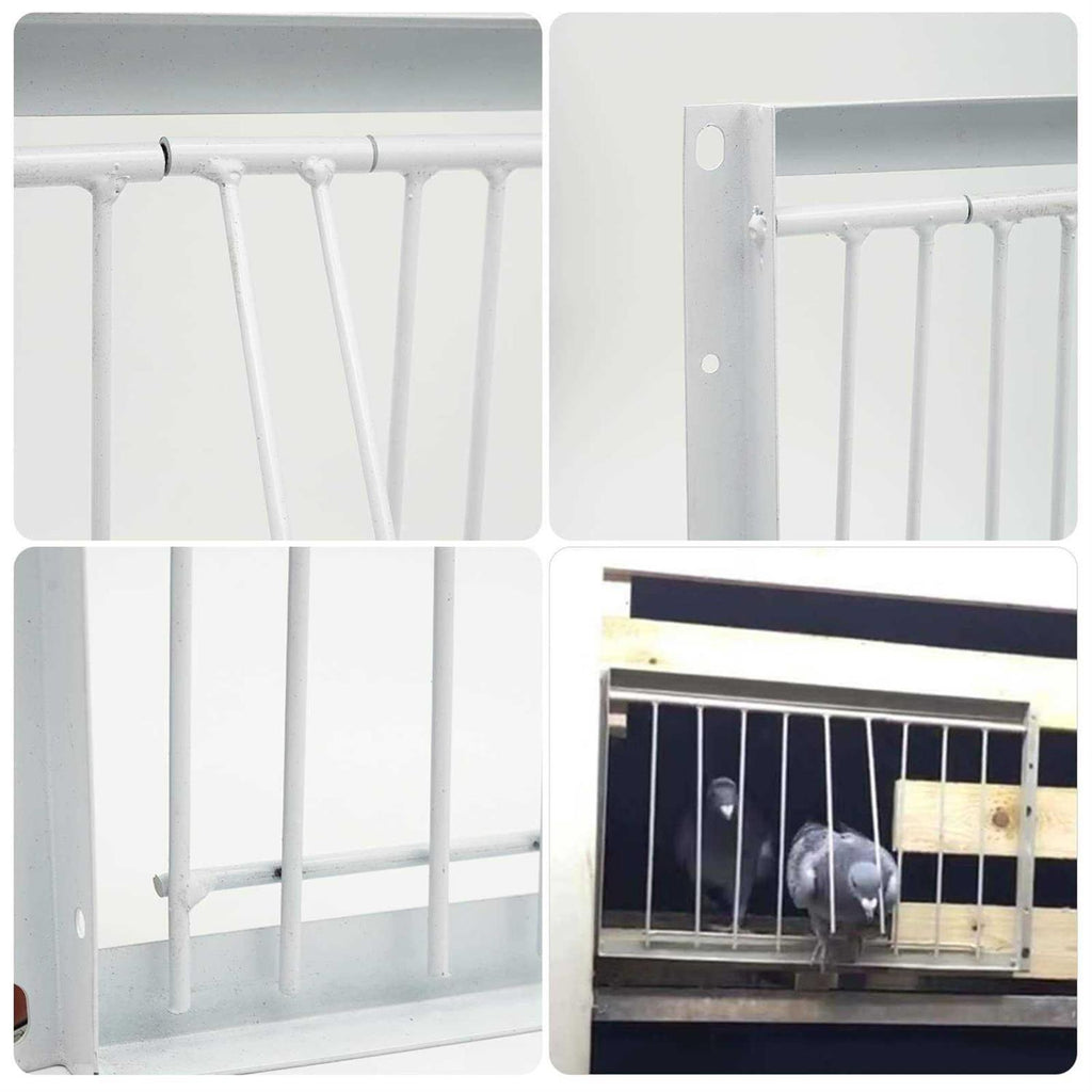 30cm One Way Entrance Bird Trap Door W174