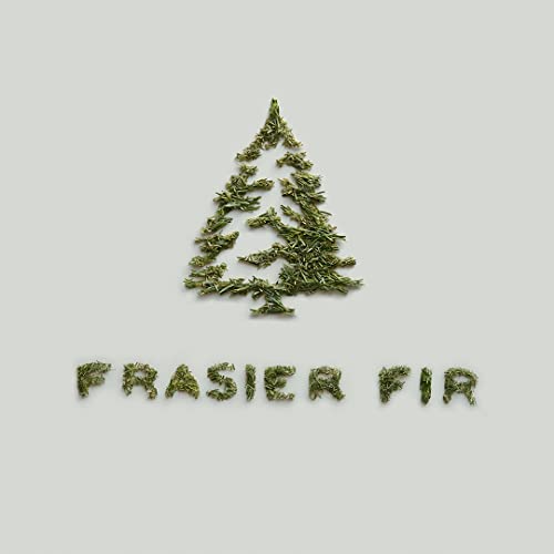 Frasier Fir Reed Diffuser Set Y116